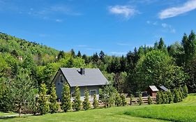 Domek Dwojakówka